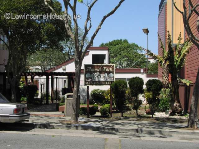 Ammel Park Cooperative Homes
