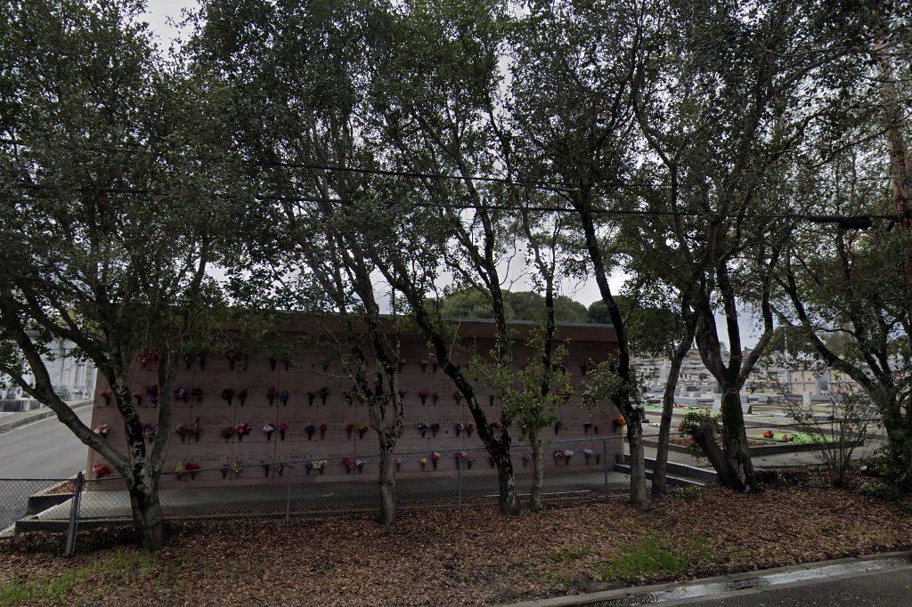 Madrone Village Petaluma