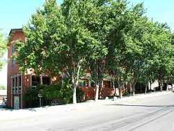 Concord Residential Club