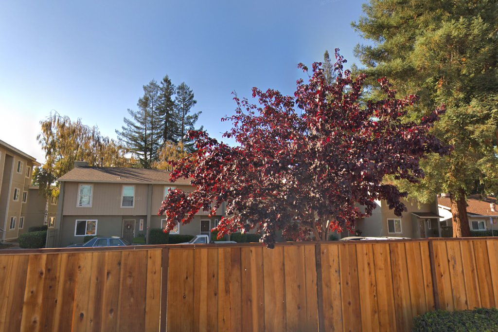 Aster Park Apartment