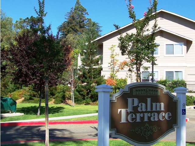 Palm Terrace Apartments Auburn