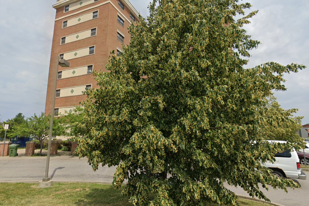 Frederick Douglass Towers
