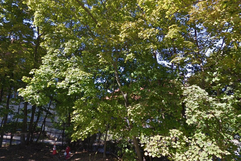 Christopher A. Smith Terrace